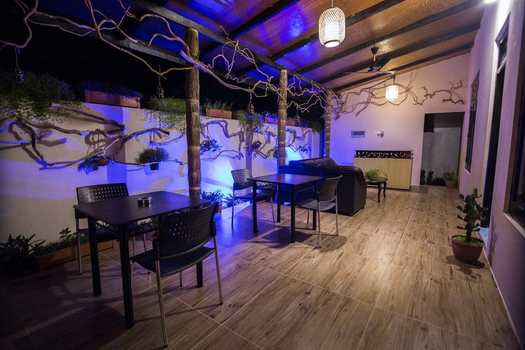 马尔代夫图杜岛阿里天堂旅馆酒店 外观 照片